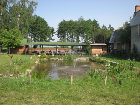 Под березами