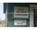 Незабудка